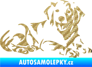 Samolepka Pes 106 pravá Retrívr 3D karbon zlatý