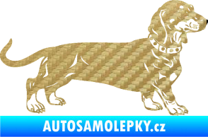 Samolepka Pes 122 pravá jezevčík 3D karbon zlatý