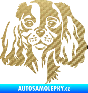 Samolepka Pes 132 pravá Cavalier king Charles spaniel 3D karbon zlatý