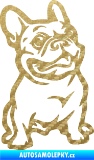 Samolepka Pes 139 pravá francouzský buldoček 3D karbon zlatý