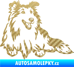 Samolepka Pes 162 pravá sheltie 3D karbon zlatý