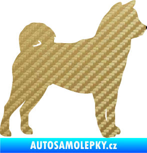 Samolepka Pes 191 pravá Shiba - Inu 3D karbon zlatý