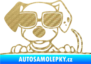 Samolepka Pes s brýlemi 101 levá v autě 3D karbon zlatý