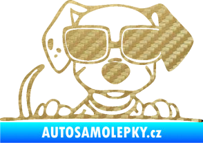 Samolepka Pes s brýlemi 101 pravá v autě 3D karbon zlatý
