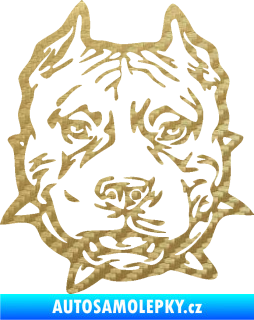 Samolepka Pitbull hlava 003 pravá 3D karbon zlatý