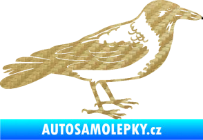 Samolepka Vrána 001 pravá 3D karbon zlatý