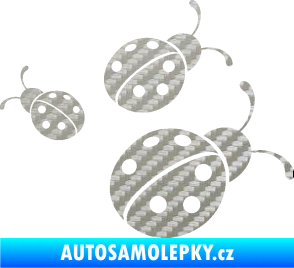 Samolepka Berušky 001 pravá 3D karbon stříbrný