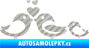 Samolepka Bird family 001 rodina v autě 3D karbon stříbrný