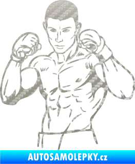 Samolepka Boxer 003 levá 3D karbon stříbrný