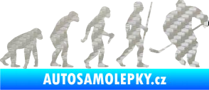 Samolepka Evoluce 003 hokej pravá 3D karbon stříbrný