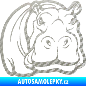 Samolepka Hroch 004 pravá 3D karbon stříbrný