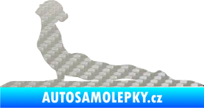 Samolepka Jóga 004 levá 3D karbon stříbrný