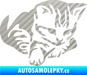 Samolepka Koťátko 003 pravá 3D karbon stříbrný
