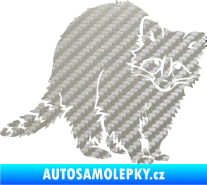 Samolepka Mýval 002 pravá 3D karbon stříbrný