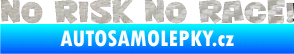 Samolepka No risk no race 001 3D karbon stříbrný