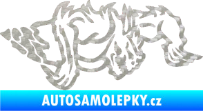 Samolepka Ostnatej pravá 3D karbon stříbrný