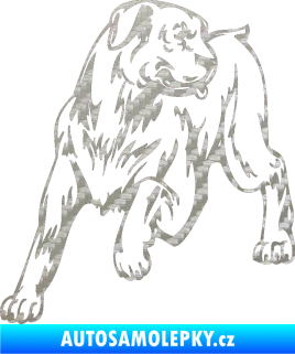 Samolepka Pes 020 levá 3D karbon stříbrný