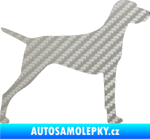 Samolepka Pes 052 pravá Ohař 3D karbon stříbrný