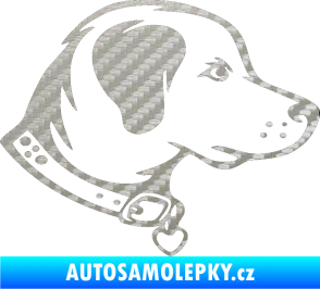 Samolepka Pes 058 pravá 3D karbon stříbrný
