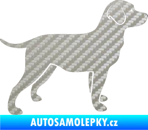 Samolepka Pes 062 pravá Labrador 3D karbon stříbrný