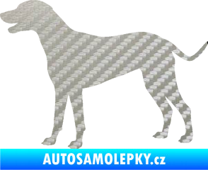 Samolepka Pes 095 levá Dalmatin 3D karbon stříbrný