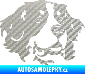 Samolepka Pes 131 pravá bernský salašnický pes 3D karbon stříbrný