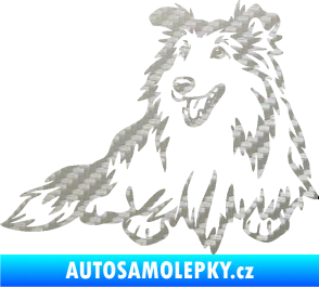 Samolepka Pes 162 levá sheltie 3D karbon stříbrný