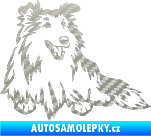 Samolepka Pes 162 pravá sheltie 3D karbon stříbrný