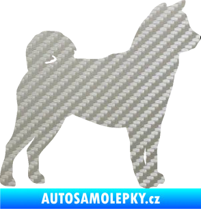 Samolepka Pes 191 pravá Shiba - Inu 3D karbon stříbrný