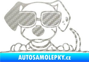 Samolepka Pes s brýlemi 101 levá v autě 3D karbon stříbrný