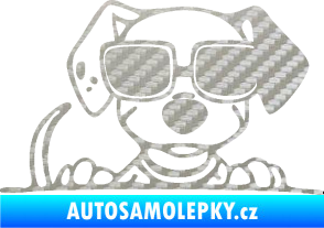 Samolepka Pes s brýlemi 101 pravá v autě 3D karbon stříbrný