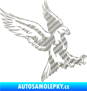 Samolepka Predators 003 pravá 3D karbon stříbrný