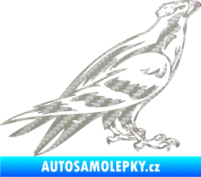 Samolepka Predators 006 pravá 3D karbon stříbrný