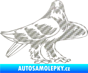 Samolepka Predators 047 pravá 3D karbon stříbrný