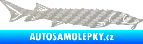 Samolepka Ryba 020 pravá jeseter 3D karbon stříbrný
