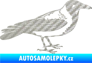 Samolepka Vrána 001 pravá 3D karbon stříbrný