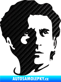 Samolepka Silueta Ayrton Senna pravá 3D karbon černý