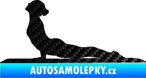 Samolepka Jóga 004 levá 3D karbon černý