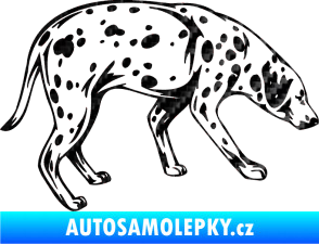 Samolepka Pes 001 pravá Dalmatin 3D karbon černý