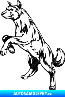 Samolepka Pes 025 levá 3D karbon černý