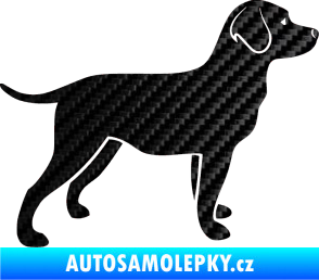 Samolepka Pes 062 pravá Labrador 3D karbon černý