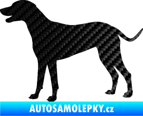 Samolepka Pes 095 levá Dalmatin 3D karbon černý