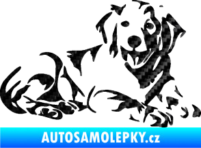 Samolepka Pes 106 pravá Retrívr 3D karbon černý