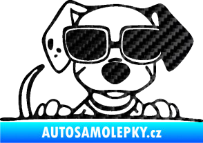 Samolepka Pes s brýlemi 101 pravá v autě 3D karbon černý
