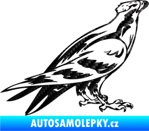 Samolepka Predators 006 pravá 3D karbon černý