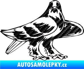 Samolepka Predators 047 pravá 3D karbon černý