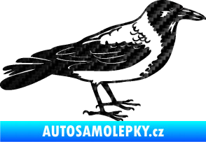 Samolepka Vrána 001 pravá 3D karbon černý