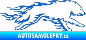 Samolepka Animal flames 032 pravá vlk 3D karbon modrý