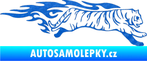 Samolepka Animal flames 079 pravá tygr 3D karbon modrý