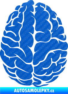 Samolepka Mozek 001 pravá 3D karbon modrý